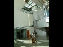 New World Center, Frank Gehry